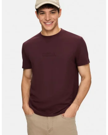 Tricou regular fit, decolteu la baza gatului, imprimeu cu logo, Rosu, CANARY