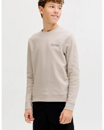 Bluza de trening din amestec de bumbac organic cu decolteu la baza gatului, Maro camel