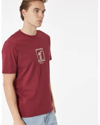 Tricou de bumbac cu decolteu la baza gatului, Visiniu