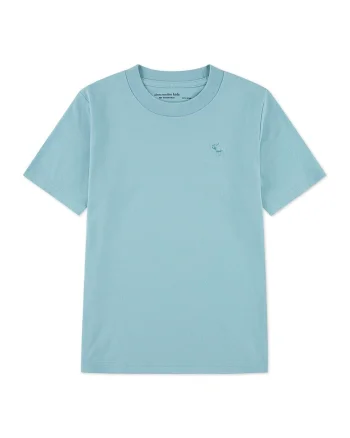Tricou regular fit cu decolteu la baza gatului, Turcoaz