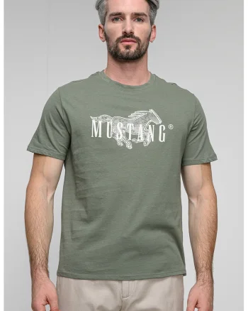 Tricou regular fit cu imprimeu logo pe piept Austin, Alb/Verde fistic