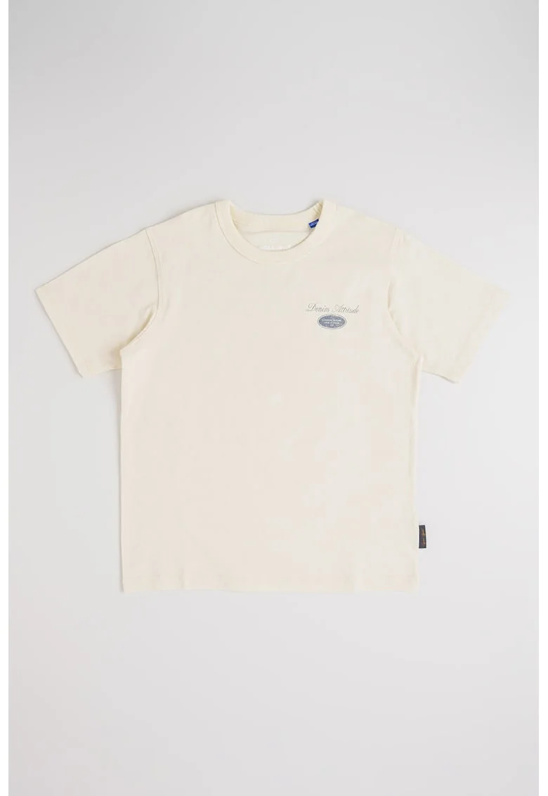 Tricou cu decolteu la baza gatului si imprimeu, Albastru prafuit/Crem