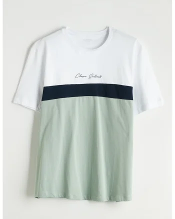 Tricou din bumbac cu model colorblock, Alb/Verde/Bleumarin