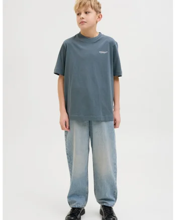 Tricou de bumbac cu imprimeu text, Albastru prafuit/Crem