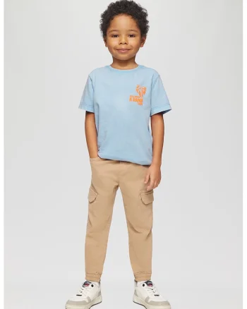 Tricou de bumbac cu decolteu la baza gatului, Albastru deschis