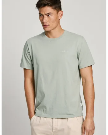 Tricou de bumbac cu decolteu la baza gatului Connor, Verde pal