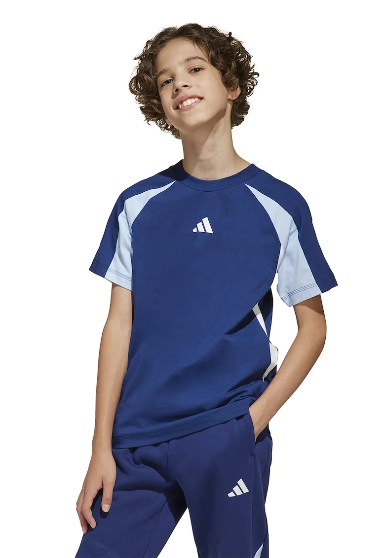 Tricou de bumbac cu maneci raglan, Alb/Albastru inchis/Albastru deschis