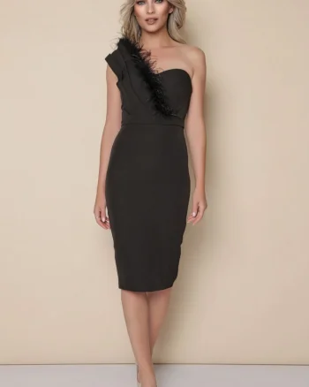 Rochie eleganta neagra conica accesorizata cu pene