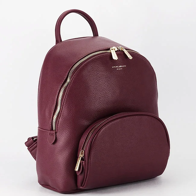 Rucsac bordo casual CM7800 18