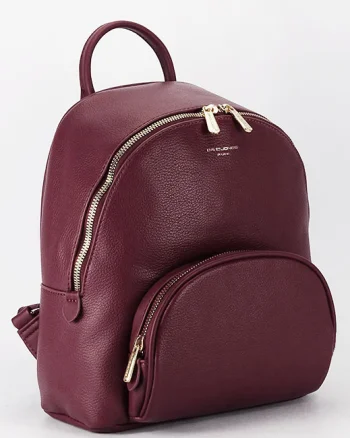 Rucsac bordo casual CM7800 18