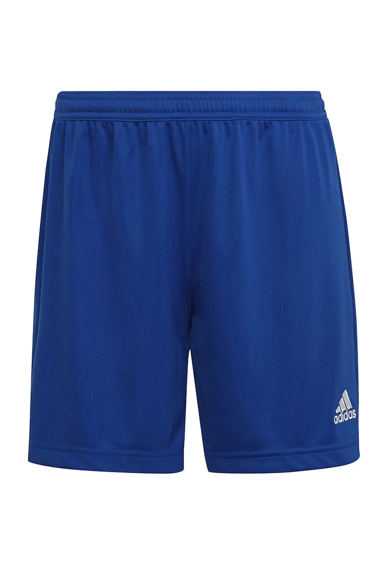 Pantaloni sport dama -  Albastru - Albastru