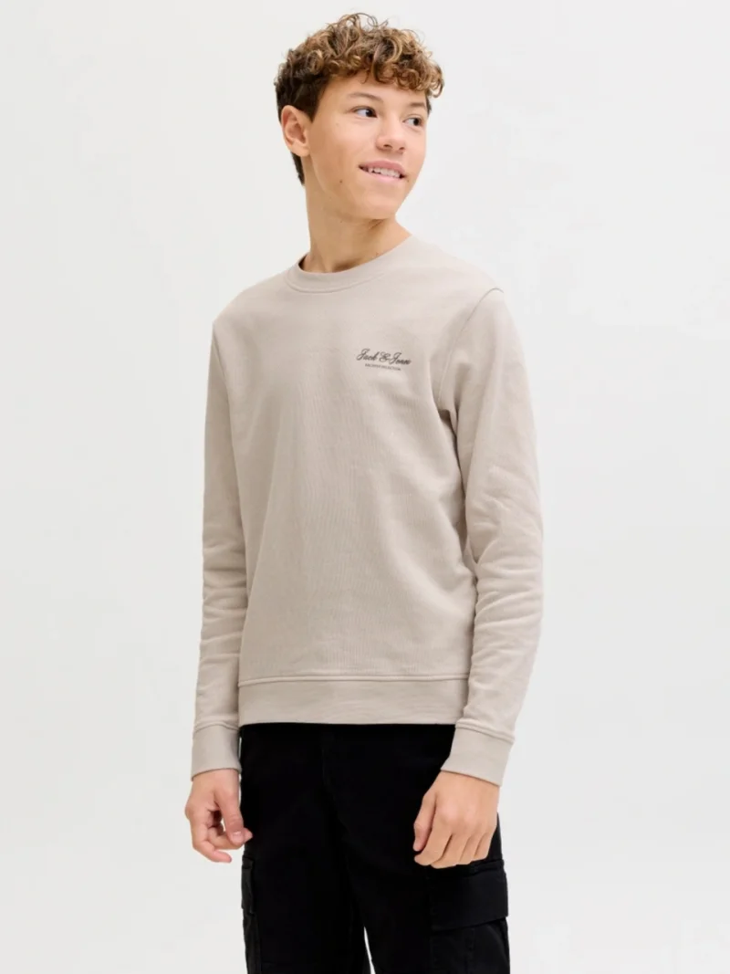 Jack & Jones Bluza baieti, Relaxed fit, cu decolteu la baza gatului, Bej (SELECTATI MARIMEA: 128 cm)