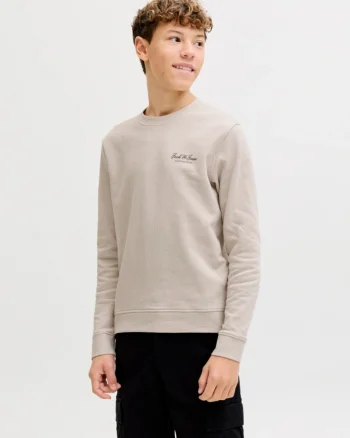 Jack & Jones Bluza baieti, Relaxed fit, cu decolteu la baza gatului, Bej (SELECTATI MARIMEA: 128 cm)