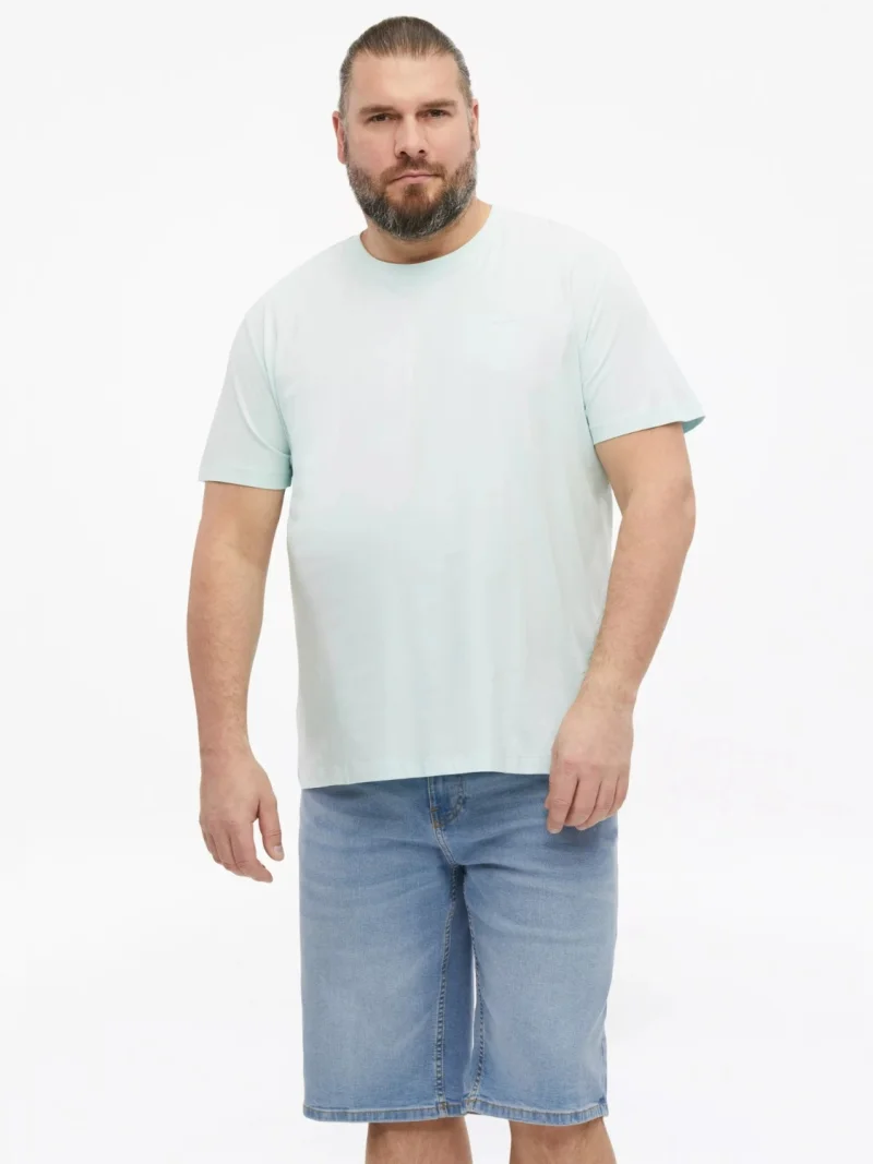 s.Oliver Big Sizes Tricou barbati big sizes cu decolteu la baza gatului, din bumbac, Turcoaz (SELECTATI MARIMEA: 2XL)
