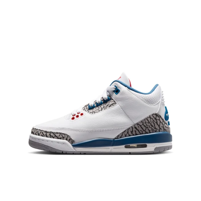 Pantofi sport Air Jordan 3 Retro (GS)
