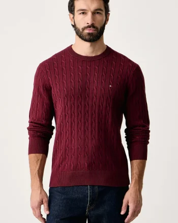 Tommy Hilfiger  pulover pentru bărbați din bumbac
